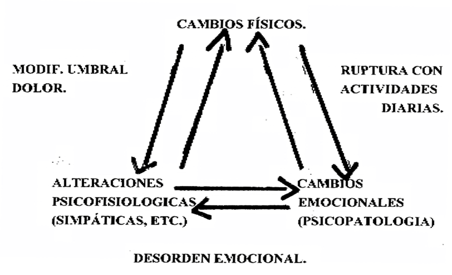 PSI+D esquema ciclo de interaccion